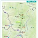 1119 이미지