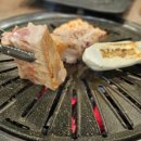 고굽마 이미지