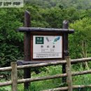 반도방앗간 이미지