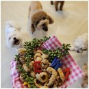 엄마 잘 다녀와 이미지