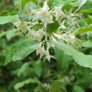 조개골산장 이미지