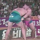 만 18세 고 3나이때 196cm 135kg 이태현 용인대 교수 리즈시절 이미지