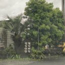 팜핑제주 이미지