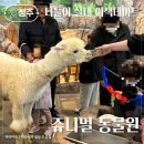 석곡버스터미널 | 청주 나들이 실내 이색데이트 쥬니멀 동물원 먹이체험 후기