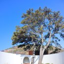 박태준기념관 이미지