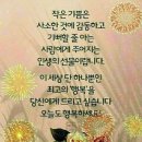 행복한하루 이미지