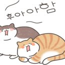 명장수제족발 이미지
