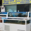 2024046 | 원종동횟집 부천맛집추천 청춘식당 다녀온 후기