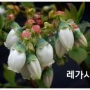 등불농장 이미지