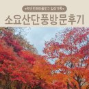 소요산제일식당 | 소요산 단풍 절정시기 2025년 직접 걸어본 후기