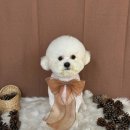 그루아미 네이버블로그