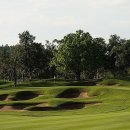 TOP 골프랜드 이미지