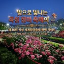 2026 전남 곡성 세계 장미 축제🌹 : 야간 방문 후기 &amp; 공연 일정 및 주차 정보🚘(feat. 뚝방 마켓)