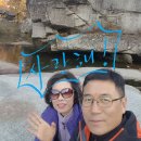 수승대 오토캠핑장 이미지