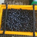 밤나무골 농장 이미지