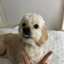 내포우리약국 | 마이라이프 이즈 비지