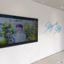 [STAY] 스트레이키즈 전시회 2회차 관람, 용복존 피어싱 뚫기(건대), 맥시던트 쥬얼케이스 앨범 개봉