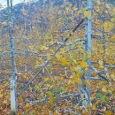 두영농장 이미지