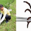 정읍시보건소 이미지