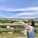 루다목장 이미지