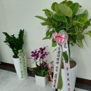 마포구청역 1번출구 이미지