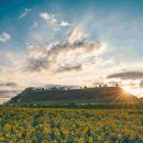 평화누리길 이미지