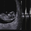 율산부인과의원 이미지