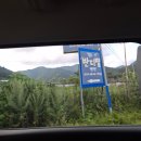 반디별 펜션 | 강원도 계곡 갈 때 추천하는 독채 숙소 반디별펜션