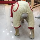 꼬까옷집