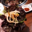 송도갈매기 이미지