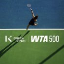 안타코리아 | 테린이 첫 경기 관람! &#34;WTA500 코리아오픈 2025&#34; 예선 경기 직관 후기