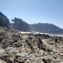 나그네길 이미지