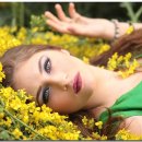 보떼메이트 이미지