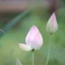 강산부동산공인중개사사무소 이미지