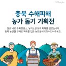 수해 이미지
