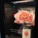 초선화
