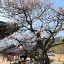 오동도 보리밥 전문점 | 여수 여행) 순천, 여수 1박 2일 여행 일정