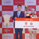 ㈜달렌트카 이미지