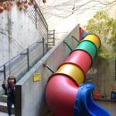 느티나무 도서관 이미지