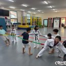 창신태권도 이미지