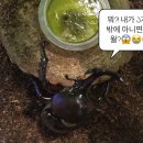 (주)장수생명과학 이미지
