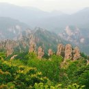 박종성농장 이미지