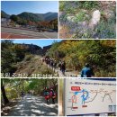 원고개약국 이미지