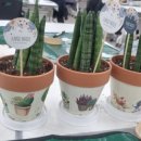 충주유기농체험교육센터 이미지