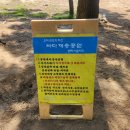 궁평바다펜션 | 화성시 궁평항 / 궁평항수산물직판장 / 궁평차박(궁평바다펜션)