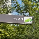 이정소