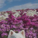 성호공원 화장실 이미지