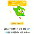 체스 | 듀오링고 슈퍼 패밀리 1년 후기 영어 일본어 체스