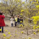 산수유민박 이미지