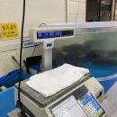 한라종합수산 | 구미횟집 봉곡회수산에서 참돔먹고온 후기